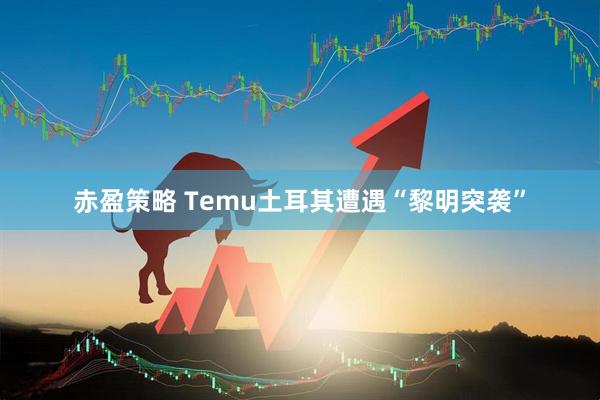赤盈策略 Temu土耳其遭遇“黎明突袭”