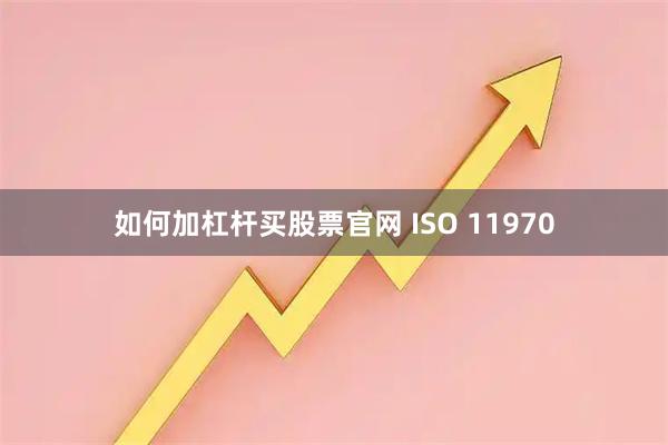 如何加杠杆买股票官网 ISO 11970