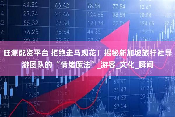 旺源配资平台 拒绝走马观花！揭秘新加坡旅行社导游团队的 “情绪魔法”_游客_文化_瞬间