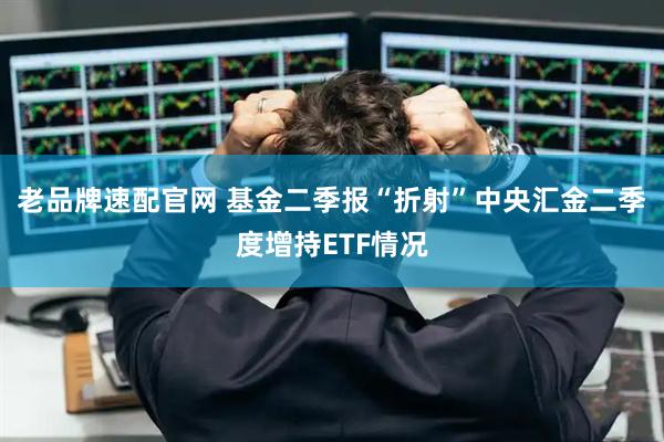 老品牌速配官网 基金二季报“折射”中央汇金二季度增持ETF情况