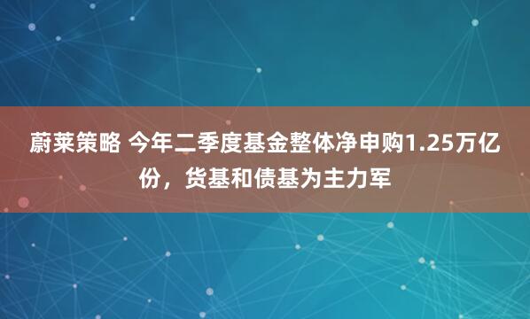 蔚莱策略 今年二季度基金整体净申购1.25万亿份，货基和债基为主力军