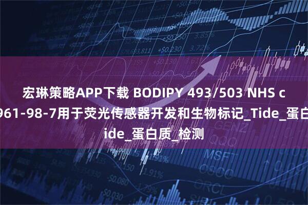 宏琳策略APP下载 BODIPY 493/503 NHS cas:216961-98-7用于荧光传感器开发和生物标记_Tide_蛋白质_检测
